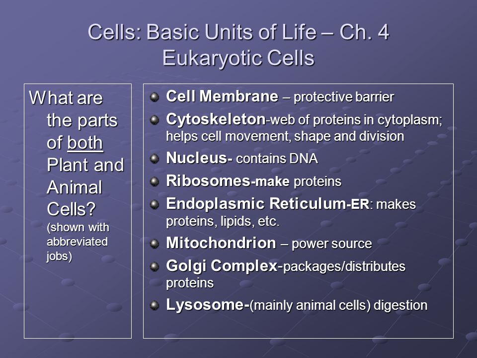 Cells: Basic Units of Life – Ch. 4 Eukaryotic Cells