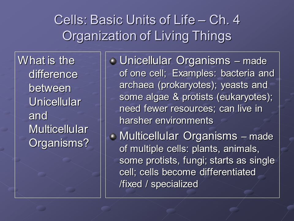 Cells: Basic Units of Life – Ch. 4 Organization of Living Things