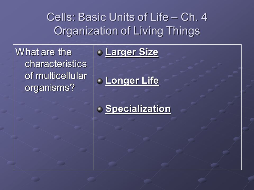 Cells: Basic Units of Life – Ch. 4 Organization of Living Things
