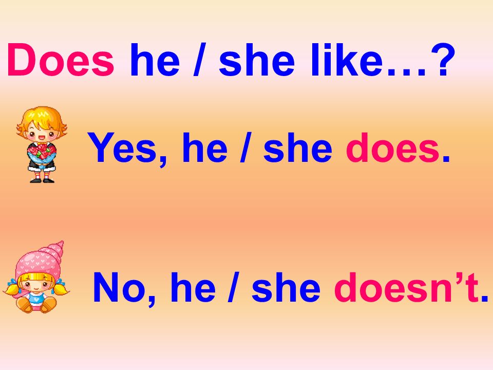 Does he / she like… Yes, he / she does. No, he / she doesn’t.