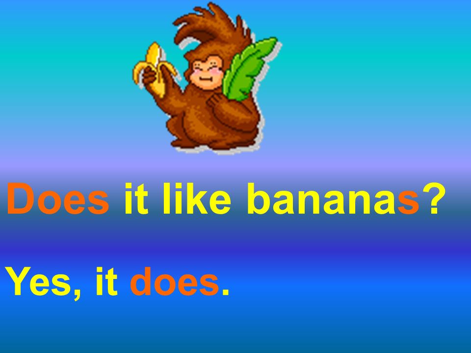 Does it like bananas Yes, it does.
