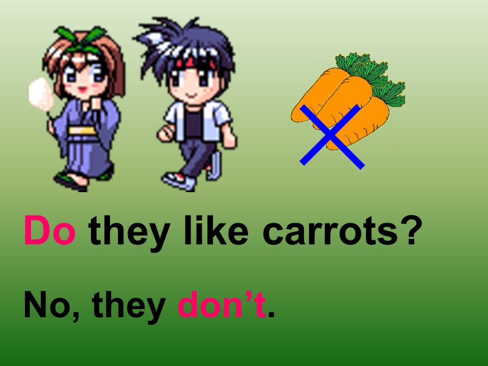 Do they like carrots No, they don’t.