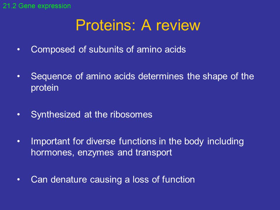 Proteins: A review Composed of subunits of amino acids