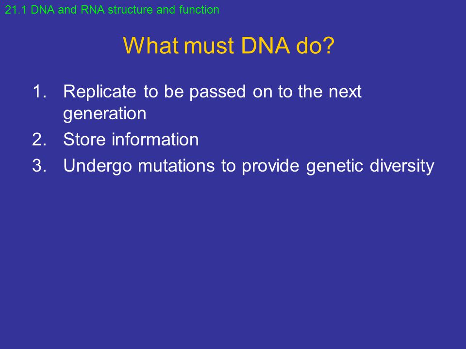 What must DNA do Replicate to be passed on to the next generation