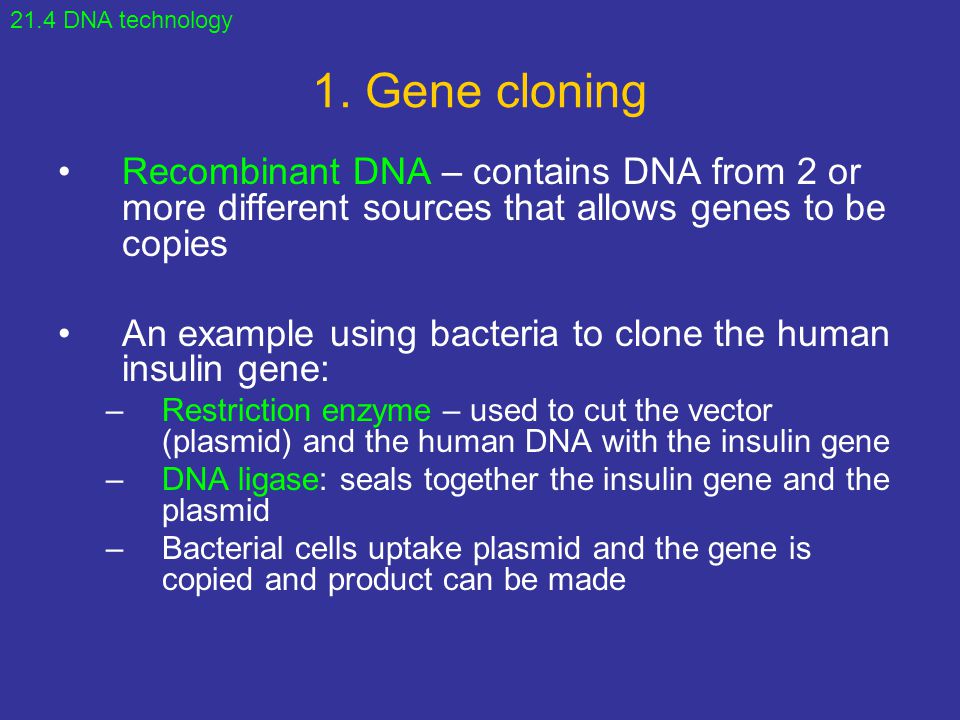 21.4 DNA technology 1. Gene cloning. Recombinant DNA – contains DNA from 2 or more different sources that allows genes to be copies.