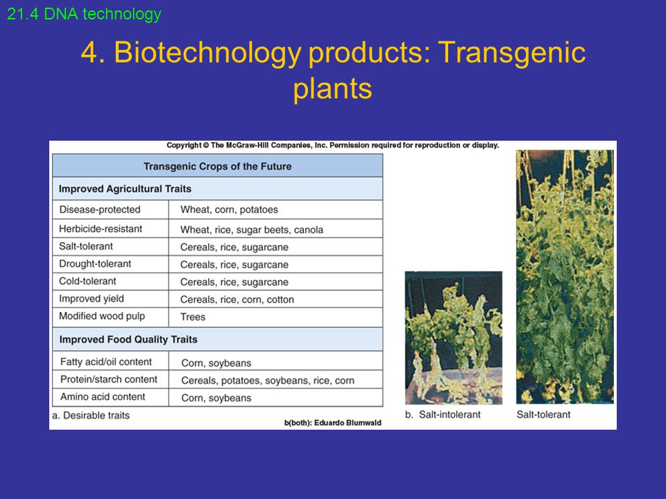 4. Biotechnology products: Transgenic plants