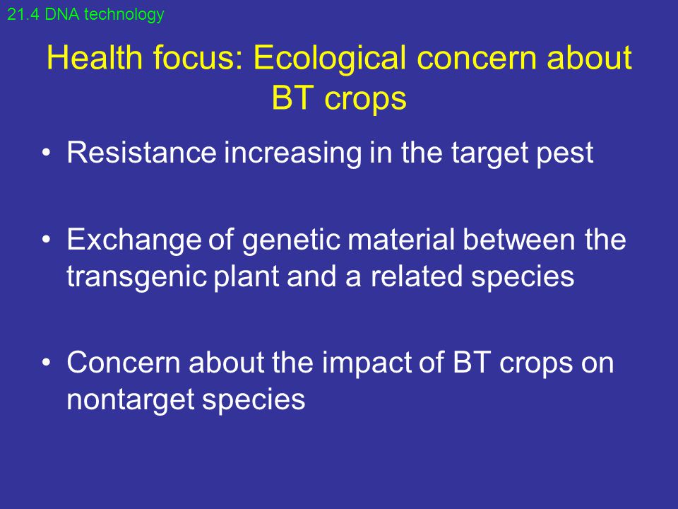 Health focus: Ecological concern about BT crops