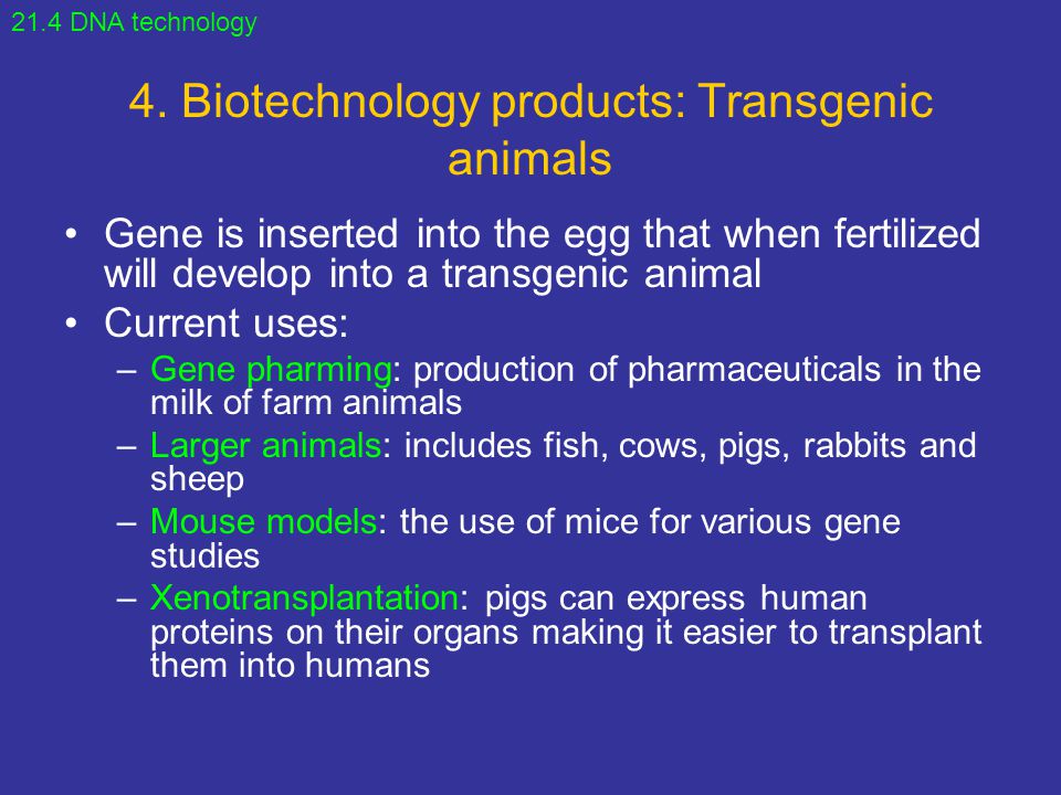 4. Biotechnology products: Transgenic animals