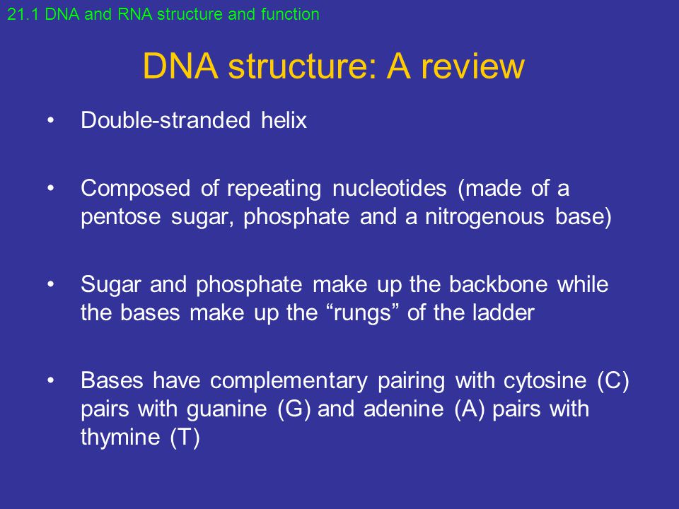 DNA structure: A review
