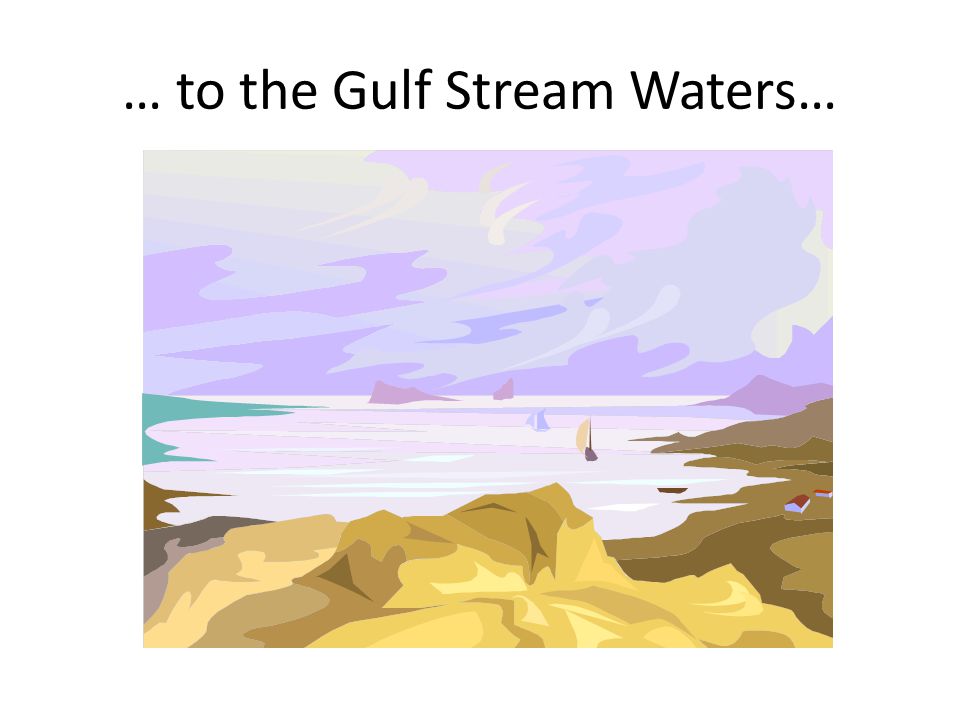… to the Gulf Stream Waters…