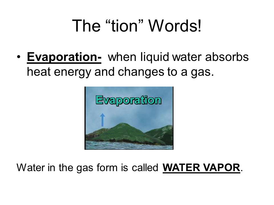 The tion Words. Evaporation- when liquid water absorbs heat energy and changes to a gas.