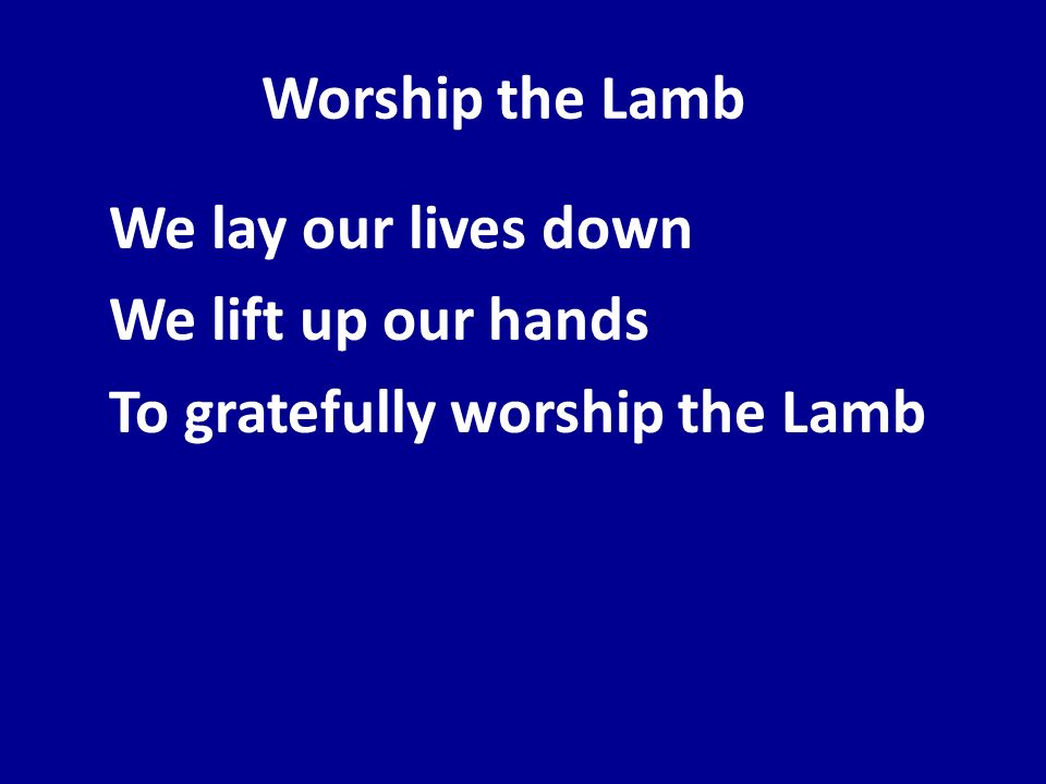 Worship the Lamb We lay our lives down We lift up our hands To gratefully worship the Lamb