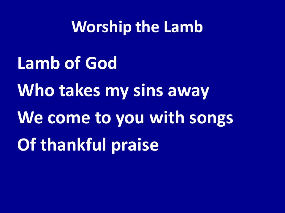 Worship the Lamb Lamb of God Who takes my sins away We come to you with songs Of thankful praise