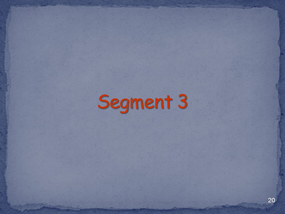 Segment 3