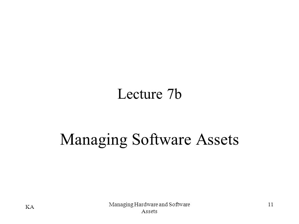 Managing Software Assets