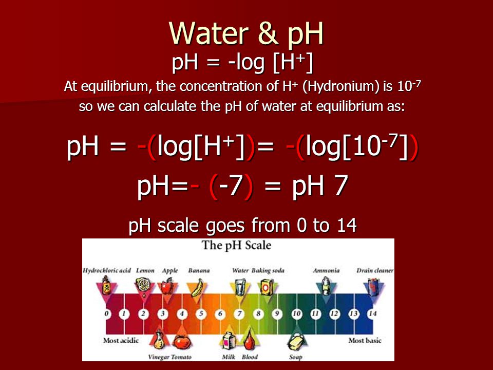 Water & pH pH = -(log[H+])= -(log[10-7]) pH=- (-7) = pH 7