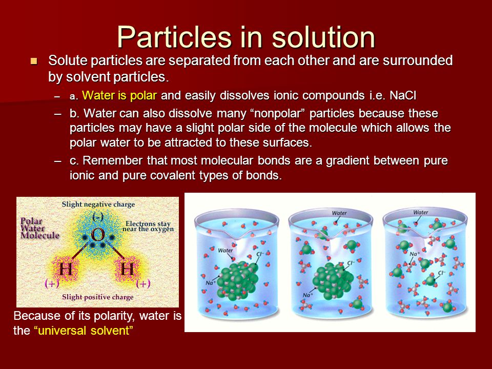 Particles in solution Solute particles are separated from each other and are surrounded by solvent particles.