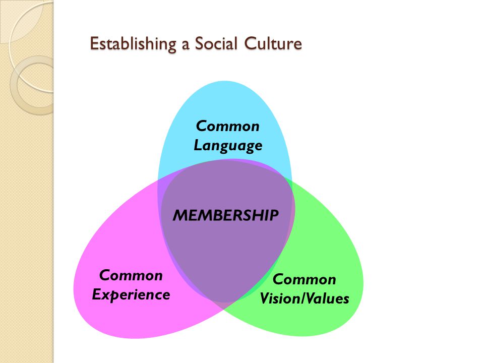 Establishing a Social Culture