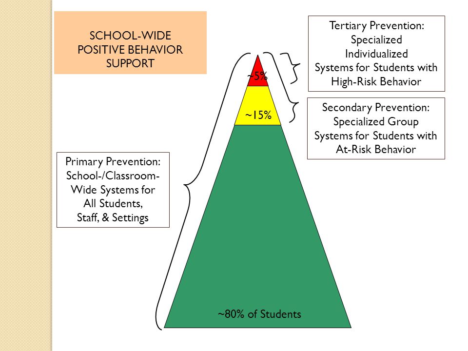 Systems for Students with High-Risk Behavior