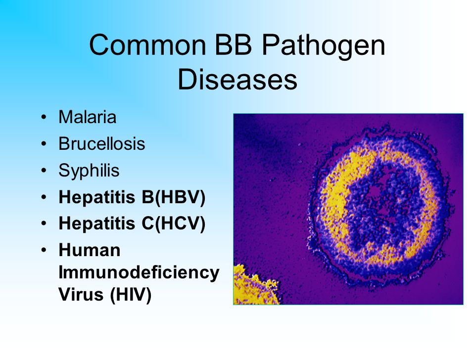 Common BB Pathogen Diseases