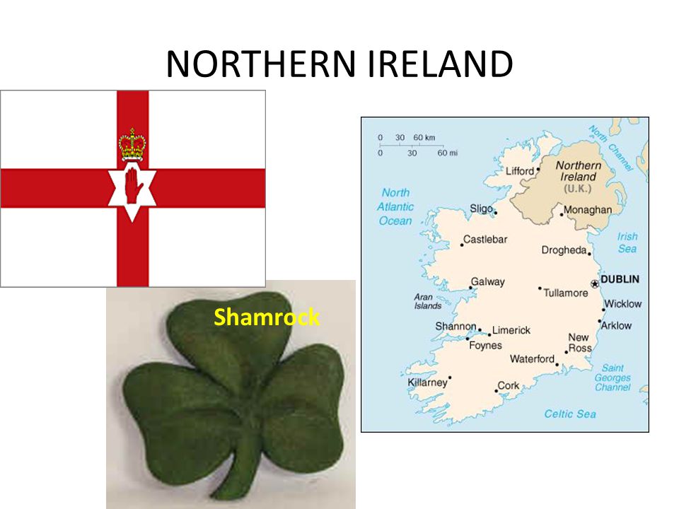 NORTHERN IRELAND Shamrock
