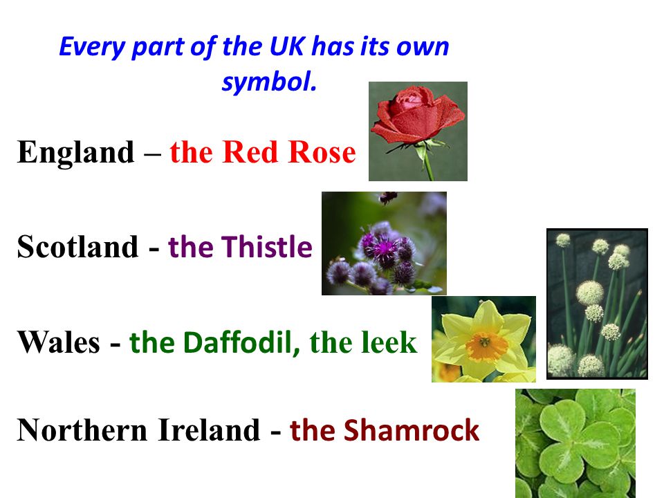 Every part of the UK has its own symbol.