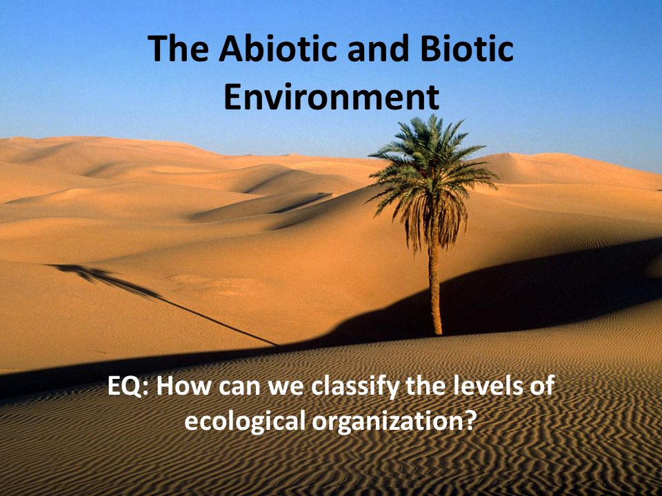 The Abiotic and Biotic Environment