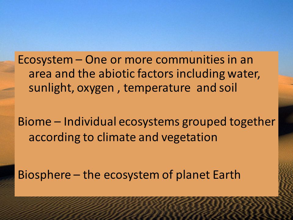 Ecosystem – One or more communities in an area and the abiotic factors including water, sunlight, oxygen , temperature and soil