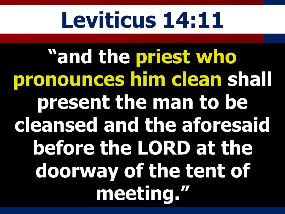 Leviticus 14:11