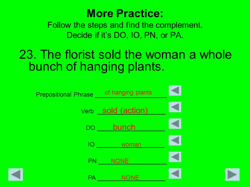 23. The florist sold the woman a whole bunch of hanging plants.