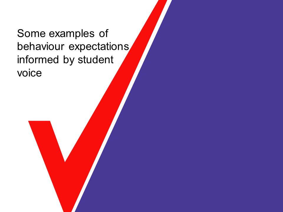 Some examples of behaviour expectations informed by student voice