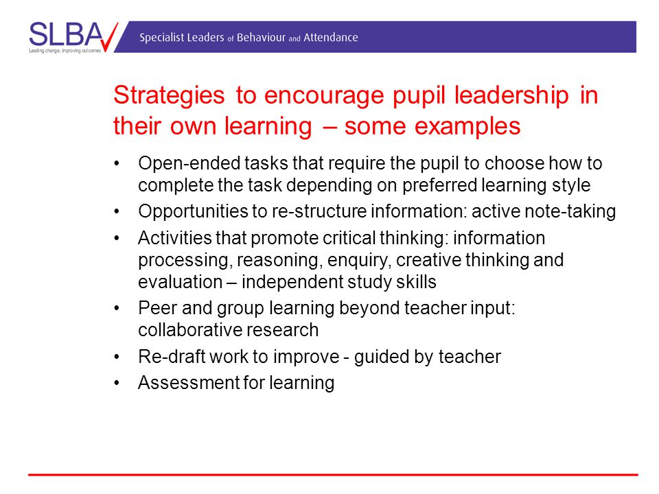 Strategies to encourage pupil leadership in their own learning – some examples