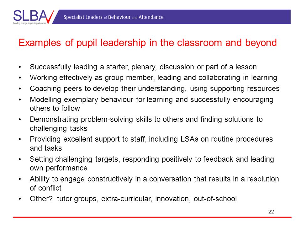 Examples of pupil leadership in the classroom and beyond