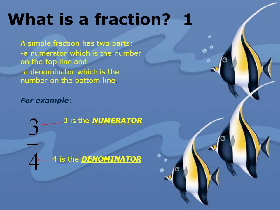 What is a fraction 1 A simple fraction has two parts: