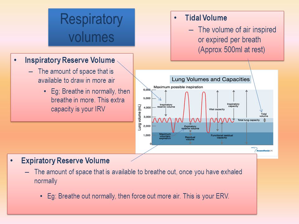 Respiratory volumes Tidal Volume