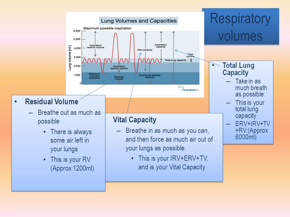 Respiratory volumes Residual Volume Vital Capacity Total Lung Capacity