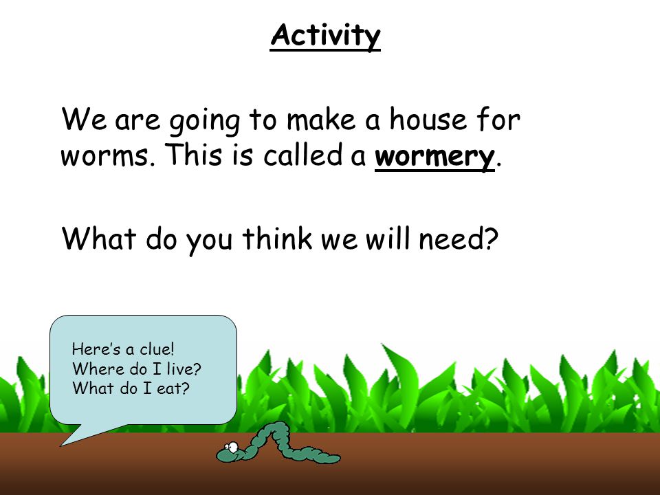 We are going to make a house for worms. This is called a wormery.