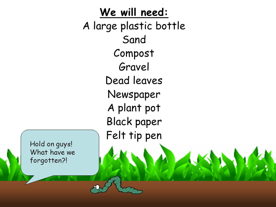 We will need: A large plastic bottle Sand Compost Gravel Dead leaves