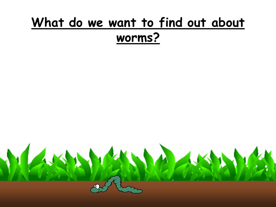 What do we want to find out about worms