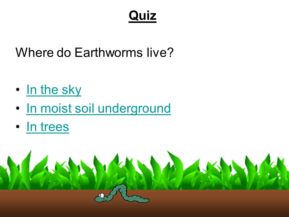 Quiz Where do Earthworms live In the sky In moist soil underground In trees