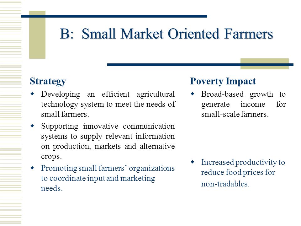B: Small Market Oriented Farmers
