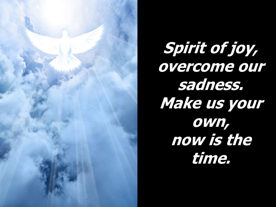 Spirit of joy, overcome our sadness. Make us your own, now is the time.