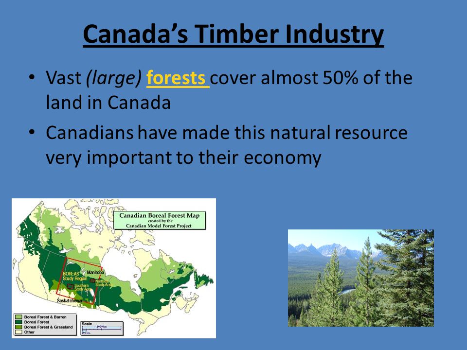 Canada’s Timber Industry