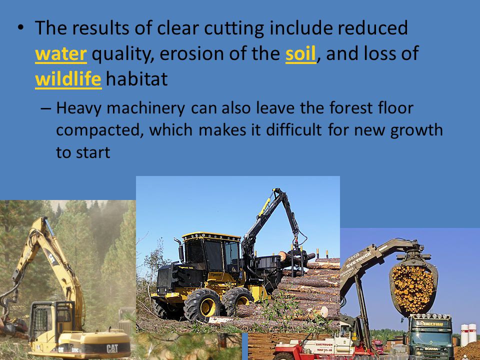 The results of clear cutting include reduced water quality, erosion of the soil, and loss of wildlife habitat