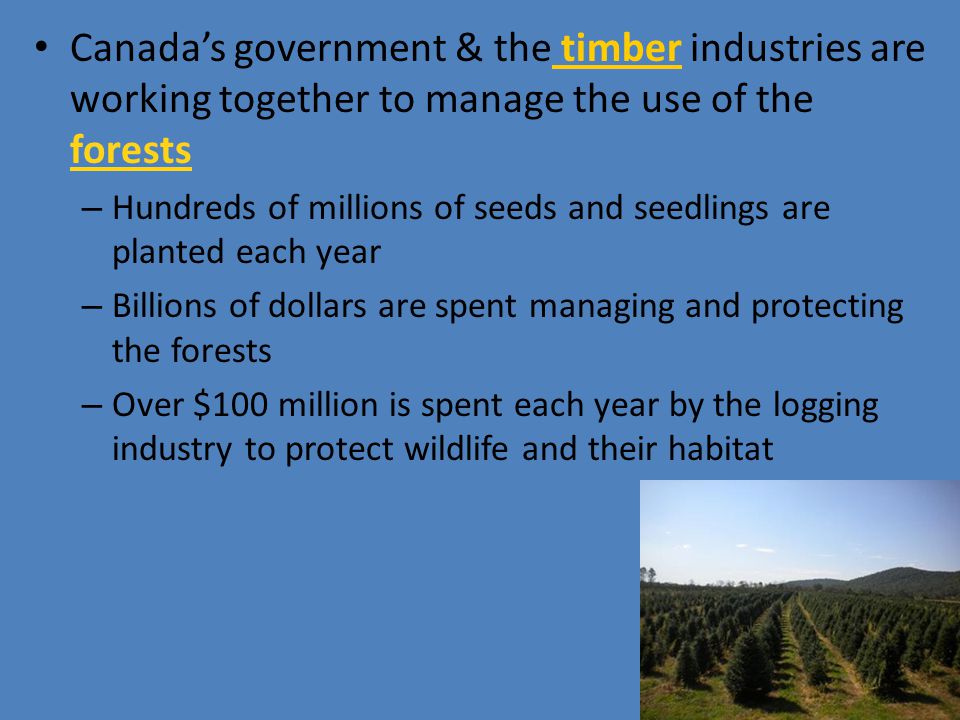 Canada’s government & the timber industries are working together to manage the use of the forests