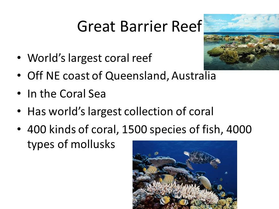 Great Barrier Reef World’s largest coral reef