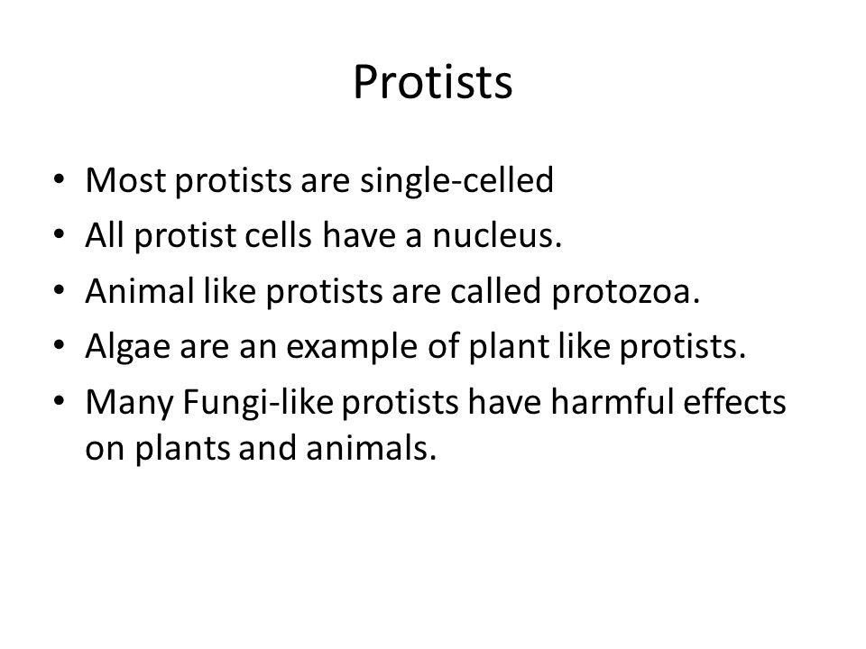 Protists Most protists are single-celled