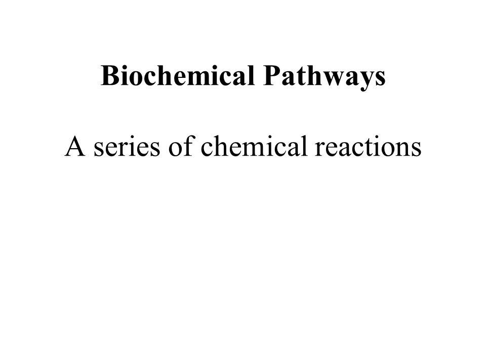 Biochemical Pathways A series of chemical reactions