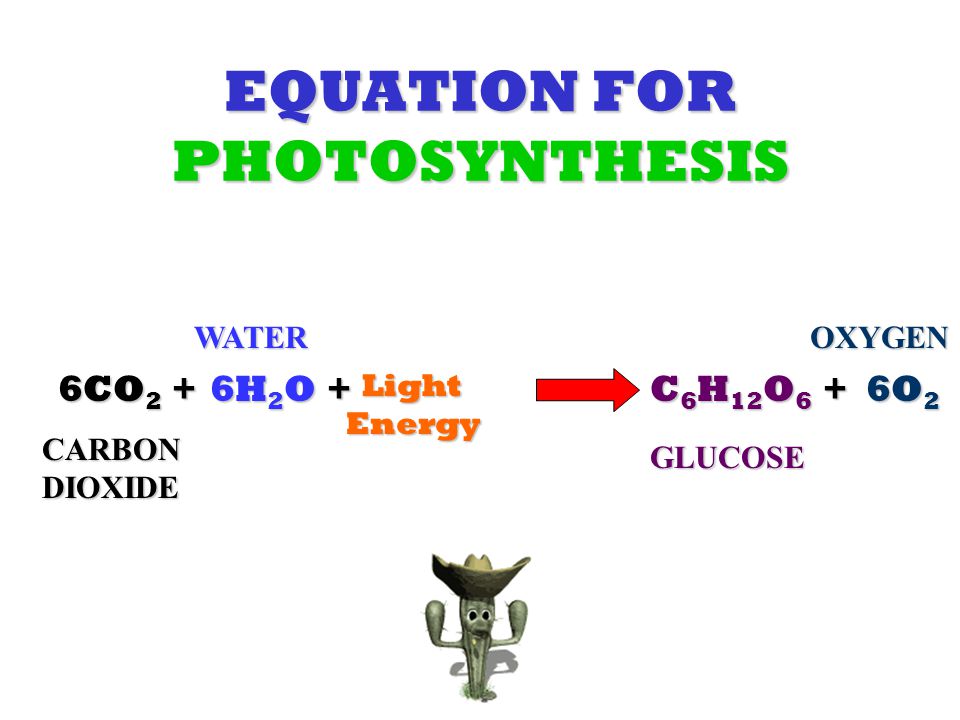 EQUATION FOR PHOTOSYNTHESIS