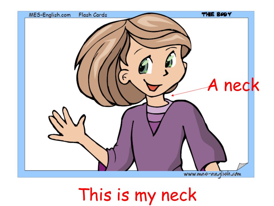 A neck This is my neck